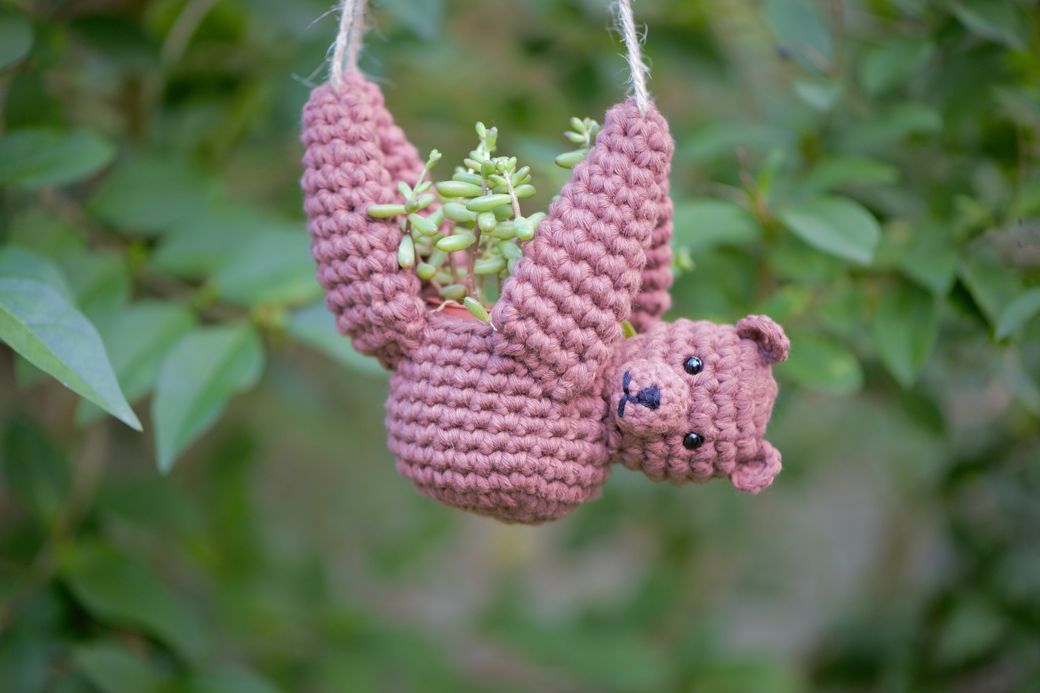 Bear
