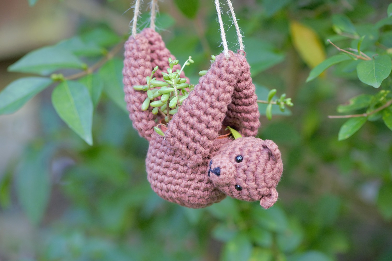 Bear