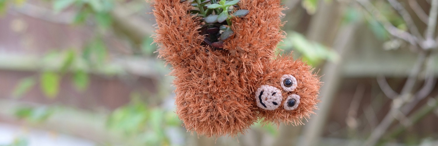 Hanging Planters