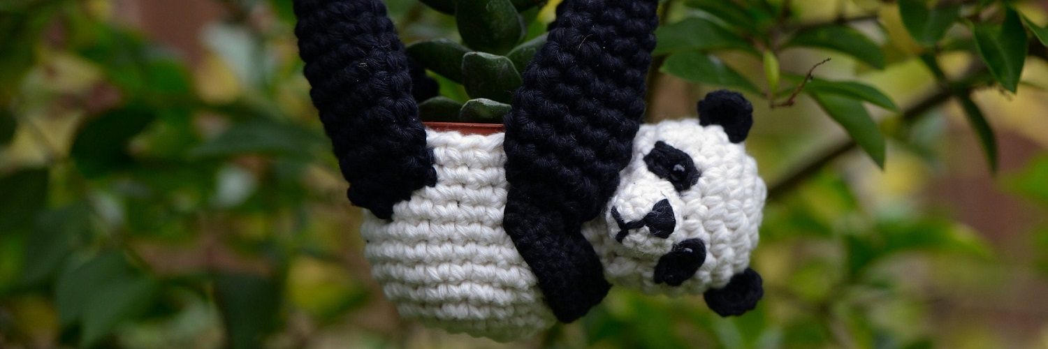 Hanging Planters