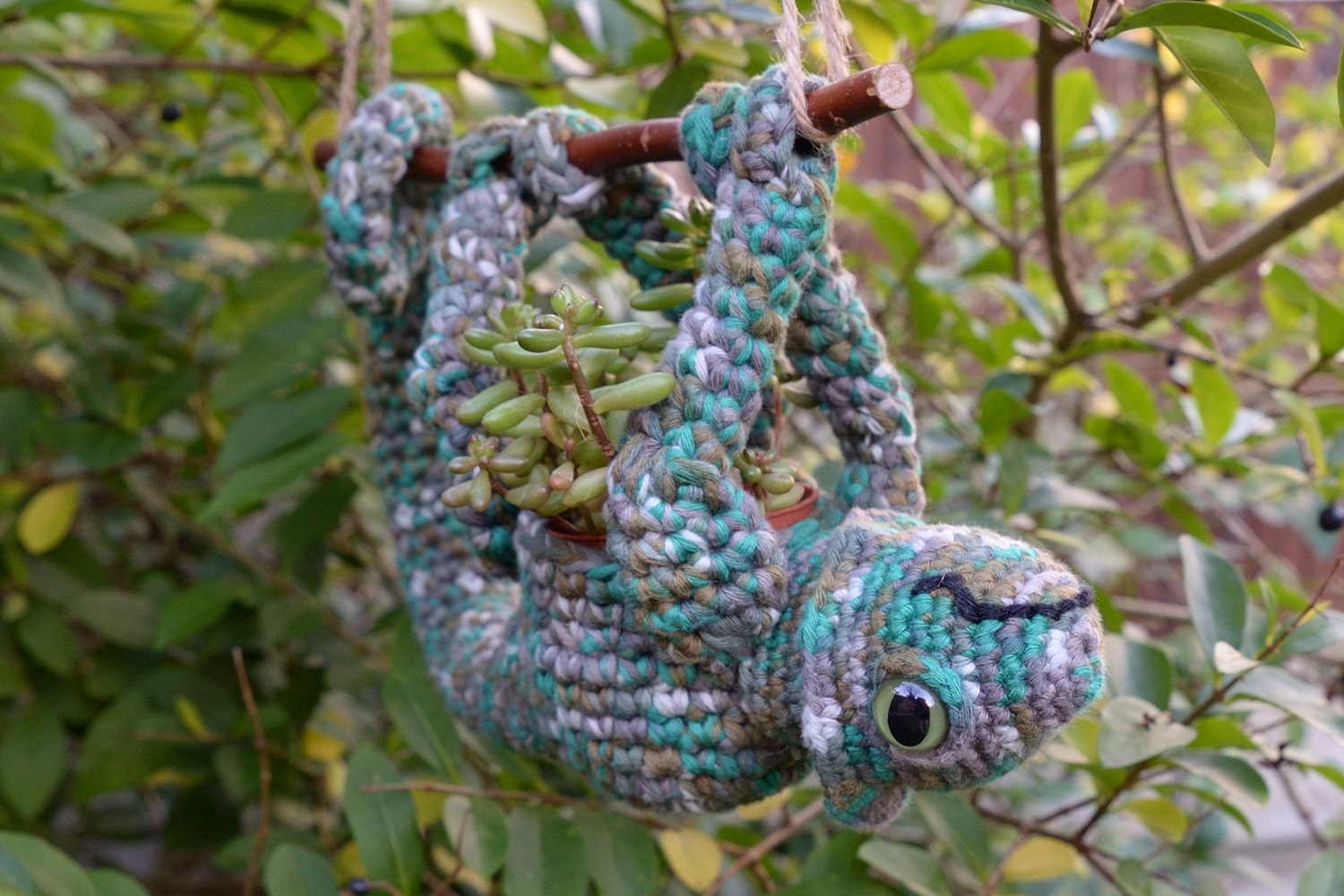 Chameleon