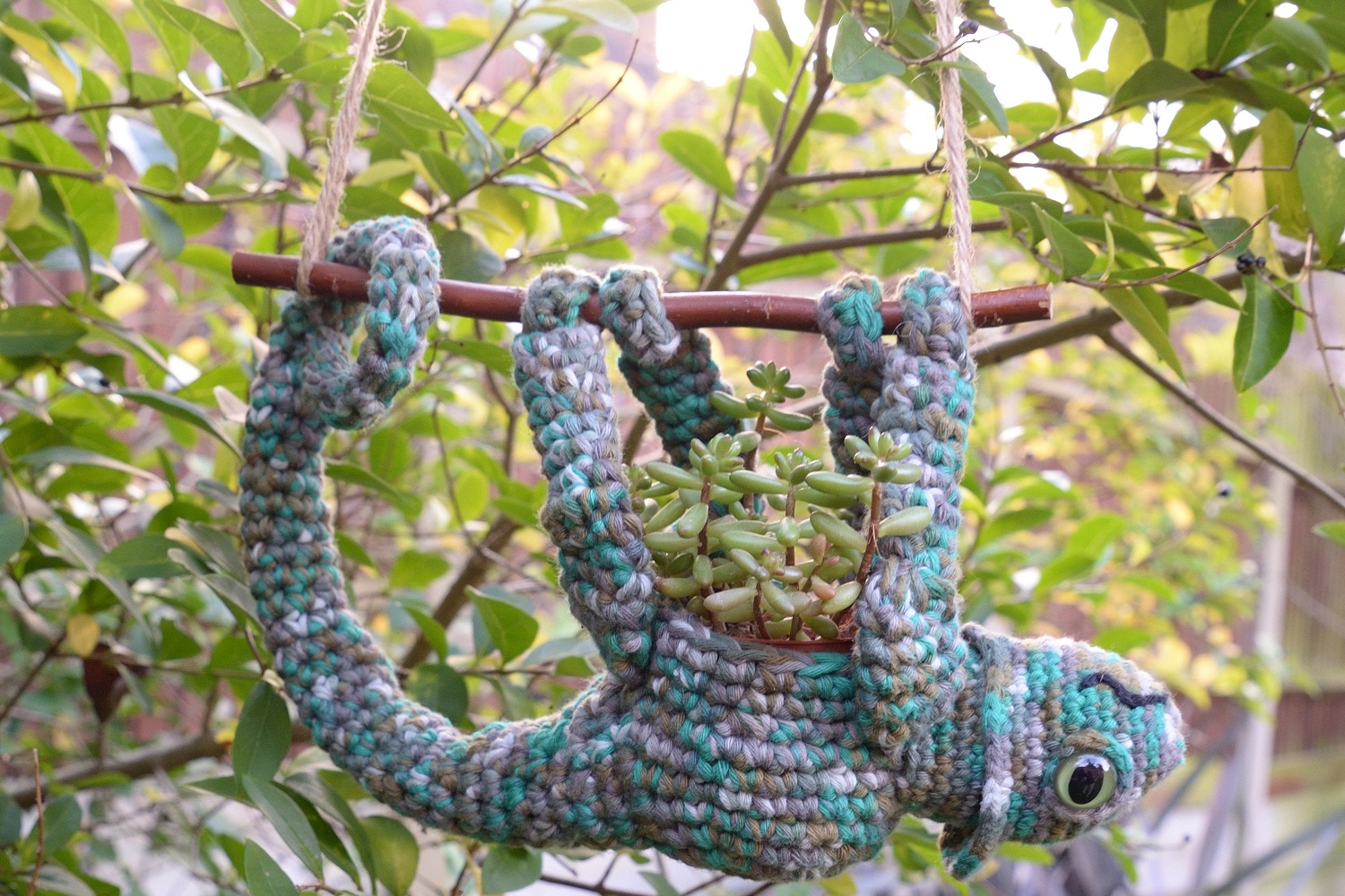 Chameleon