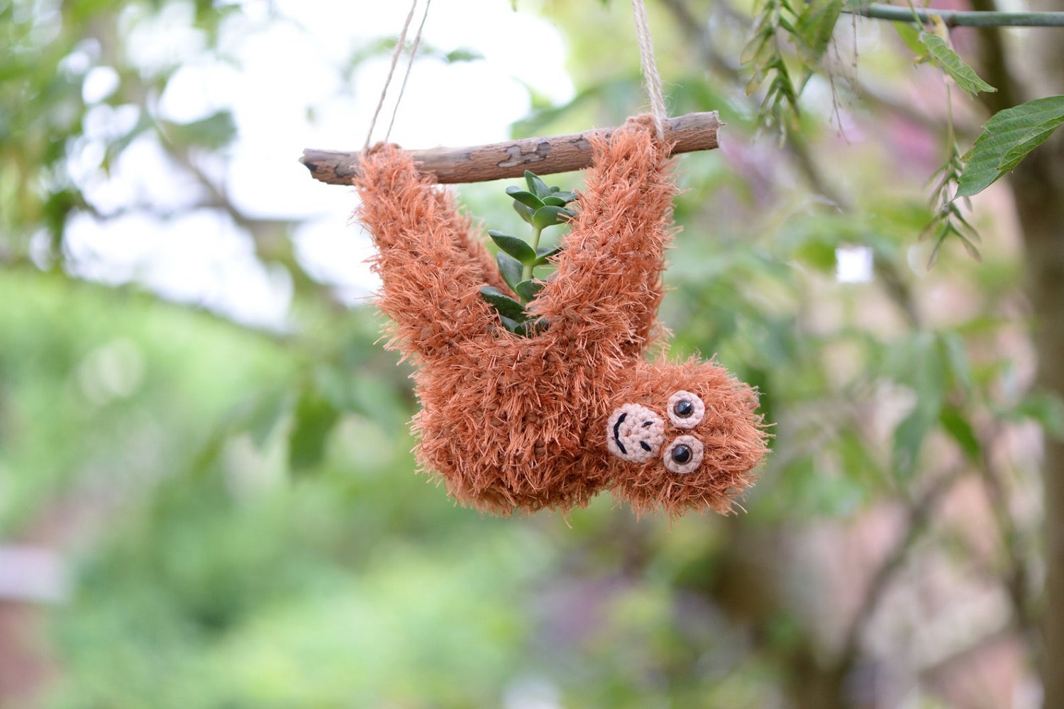 Orangutan