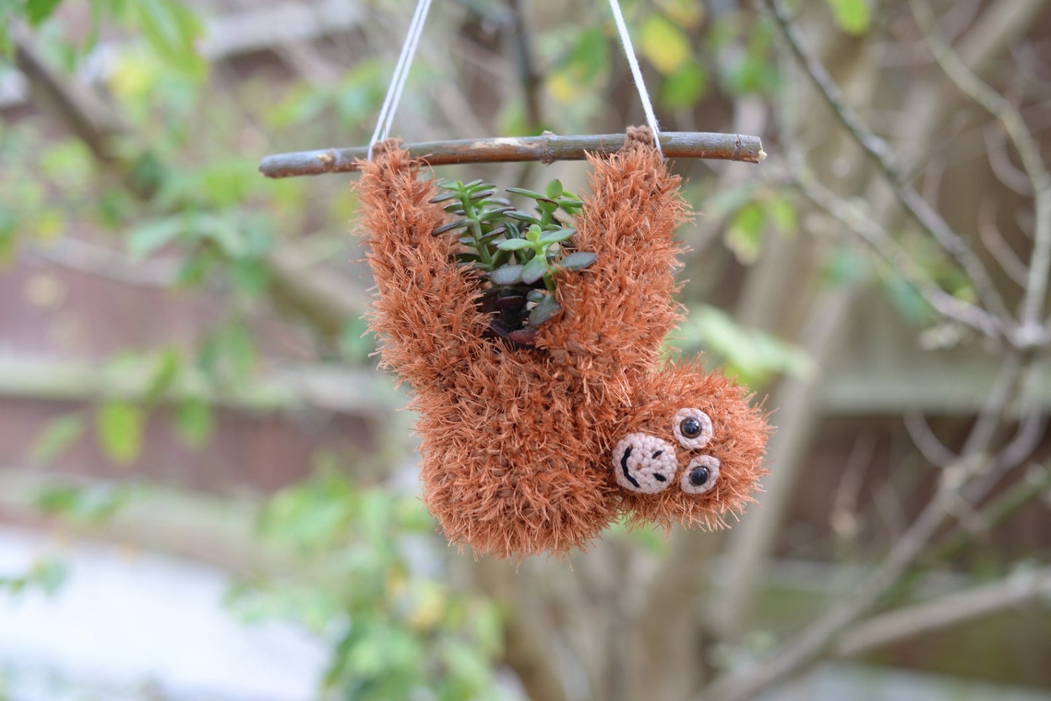 Orangutan