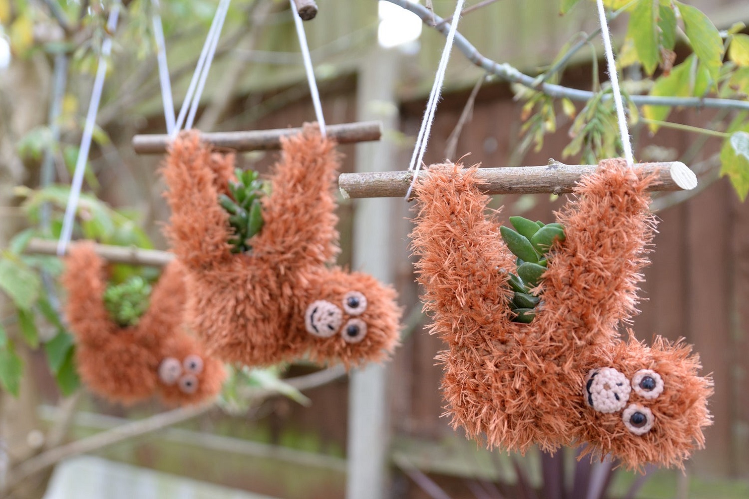 Orangutan