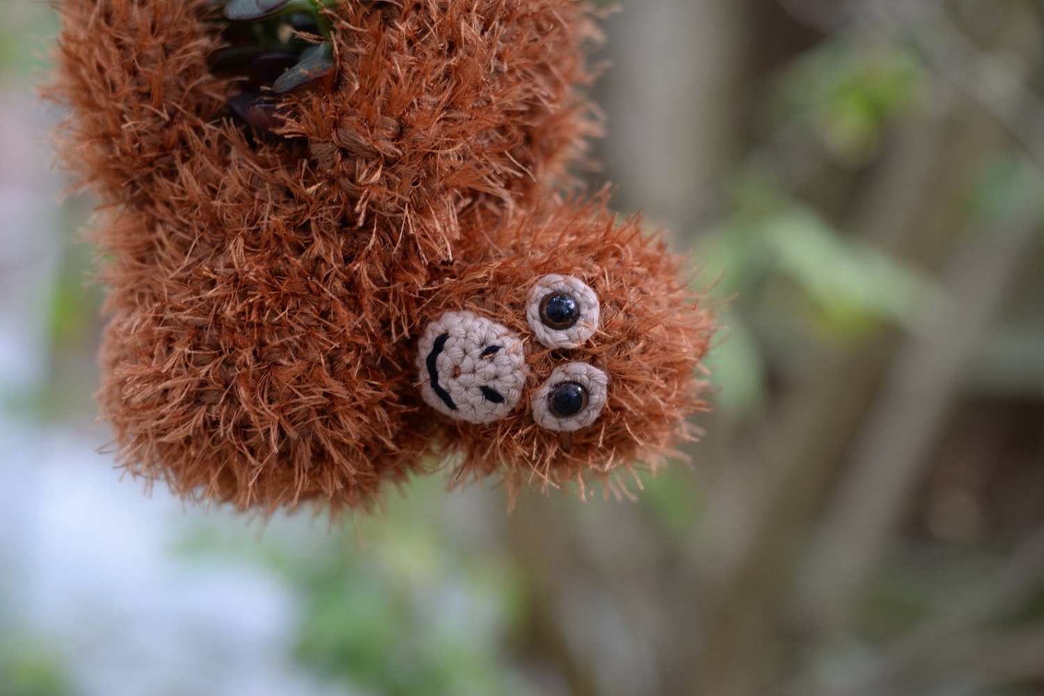 Orangutan