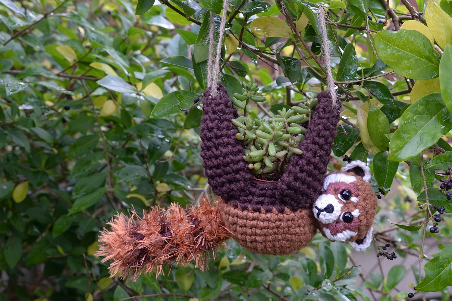 Red Panda