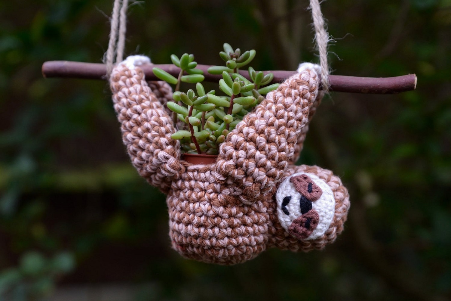 Sloth