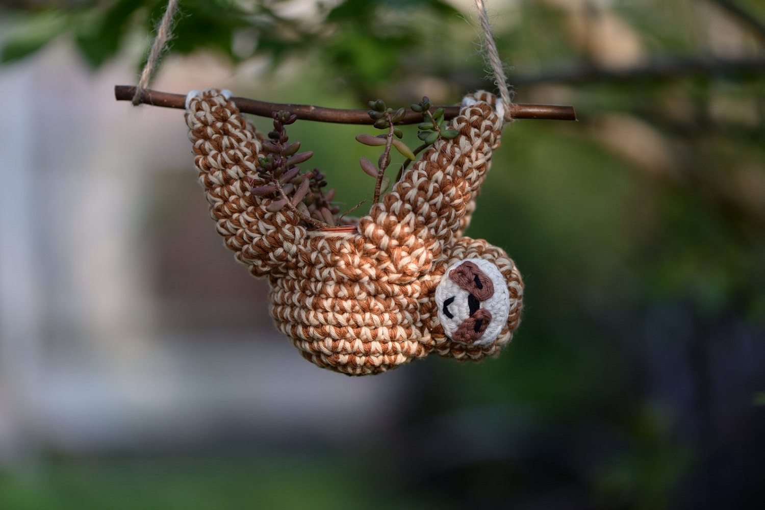 Sloth