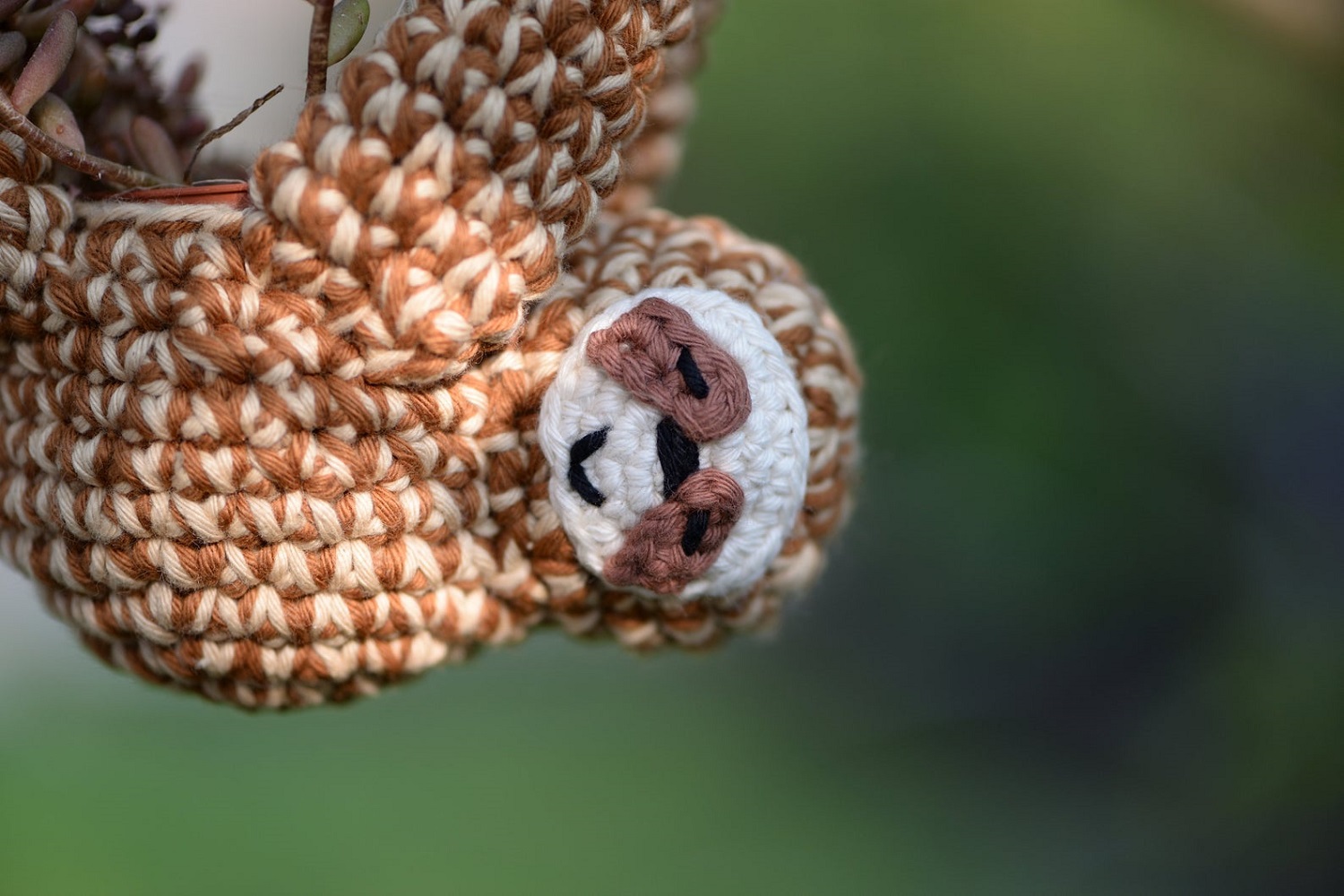 Sloth