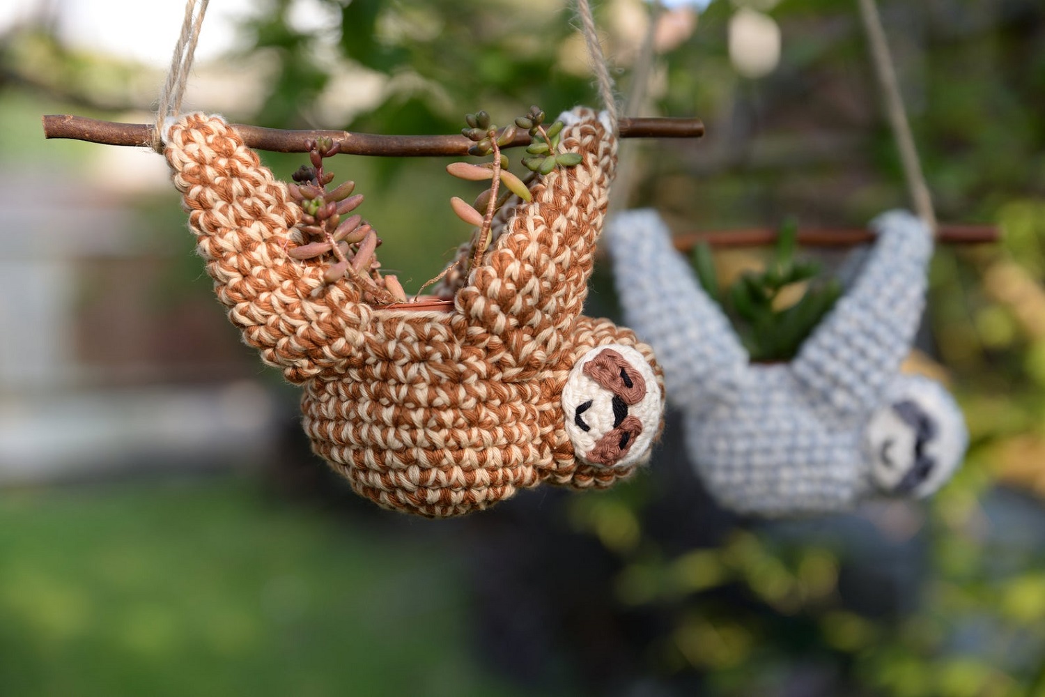 Sloth