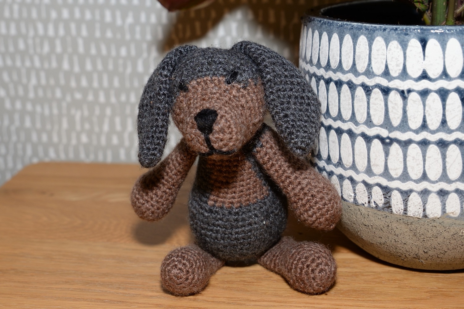 Dachshund