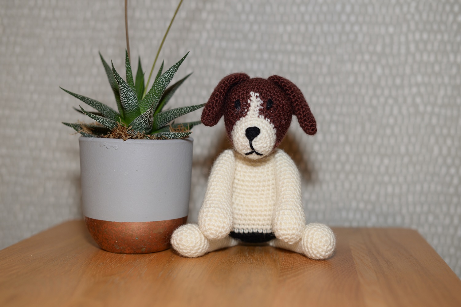 Jack Russell Terrier