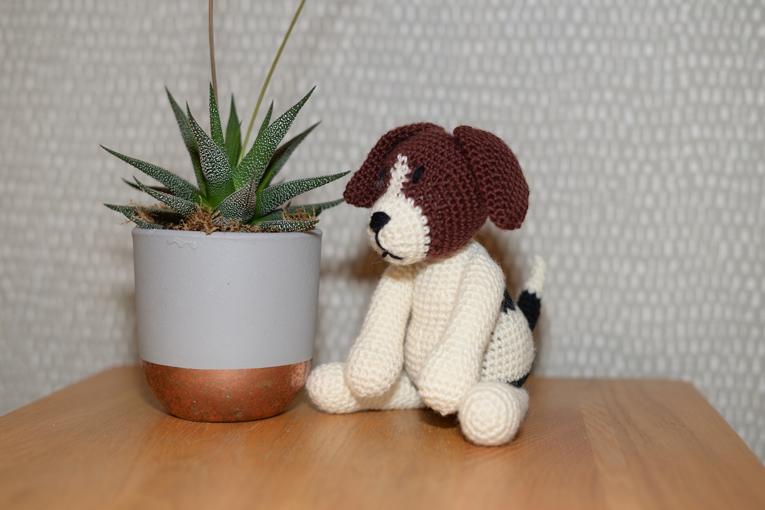 Jack Russell Terrier