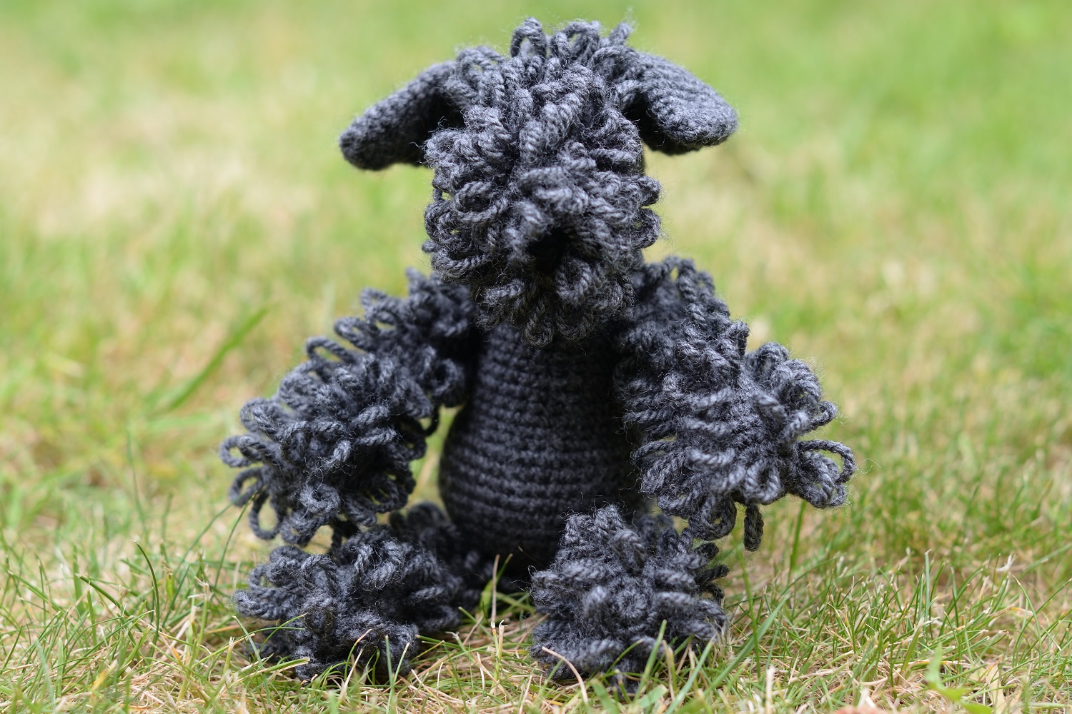 Kerry Blue Terrier
