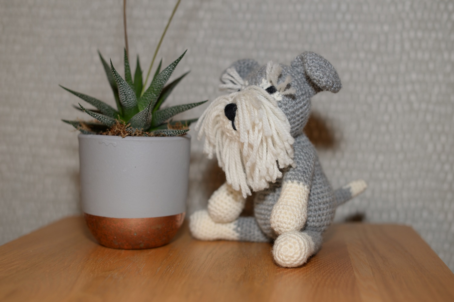 Schnauzer