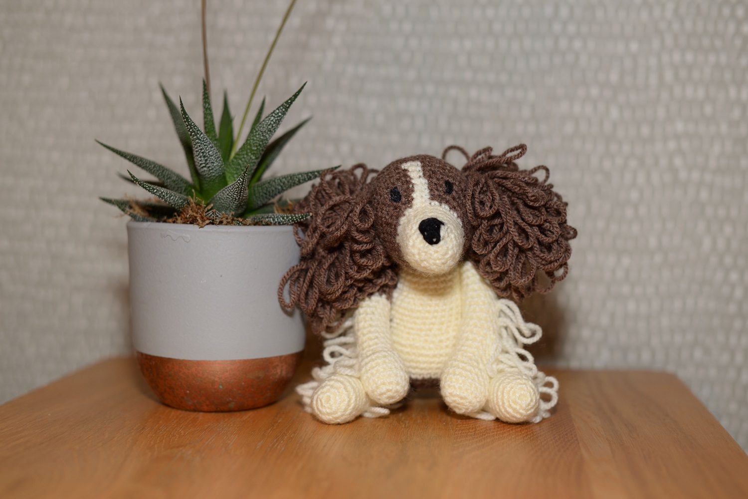 Springer Spaniel