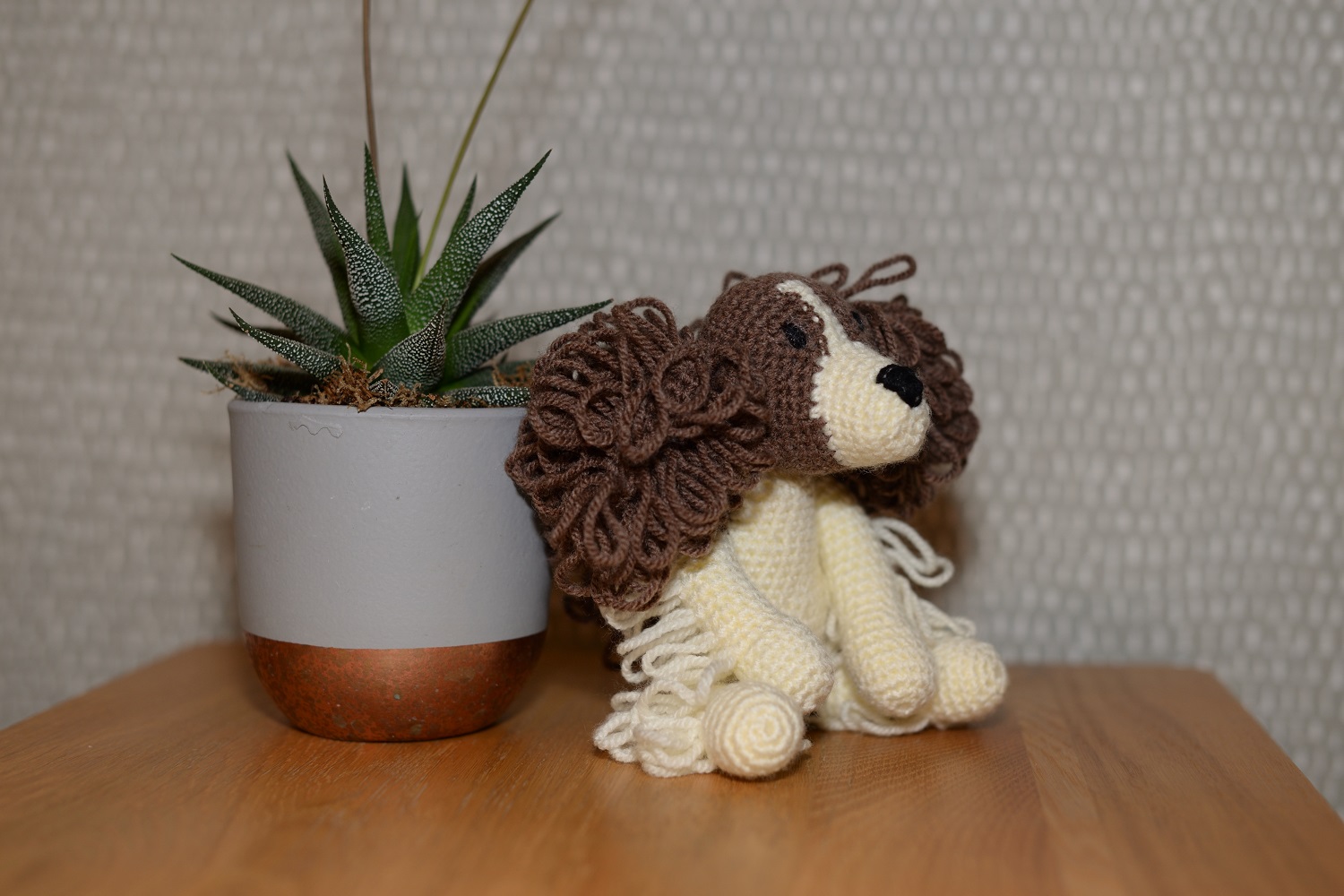 Springer Spaniel