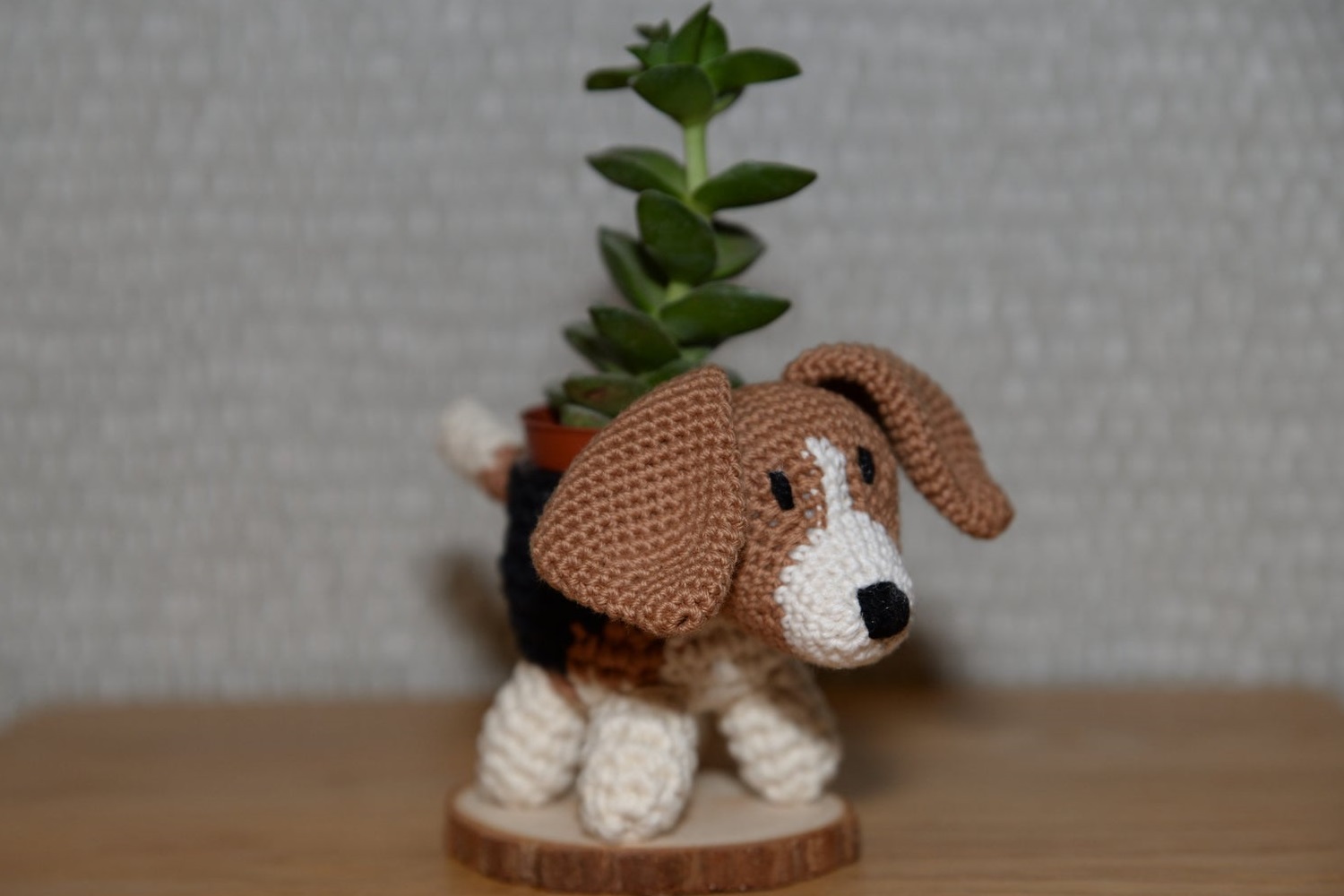 Beagle