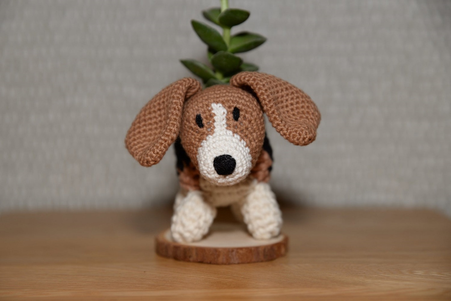Beagle