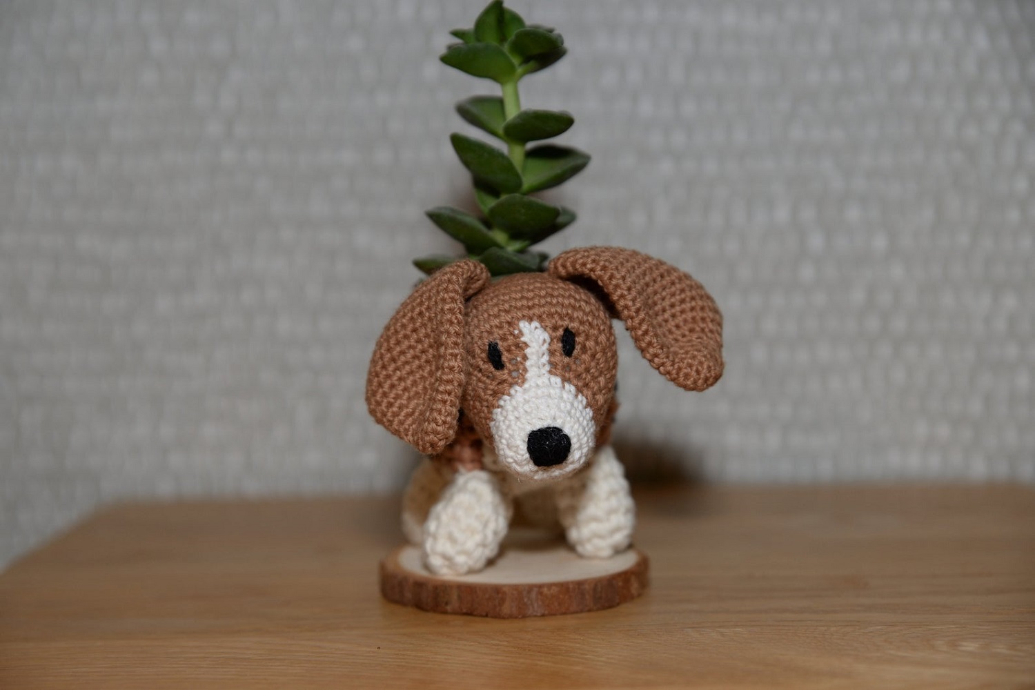 Beagle