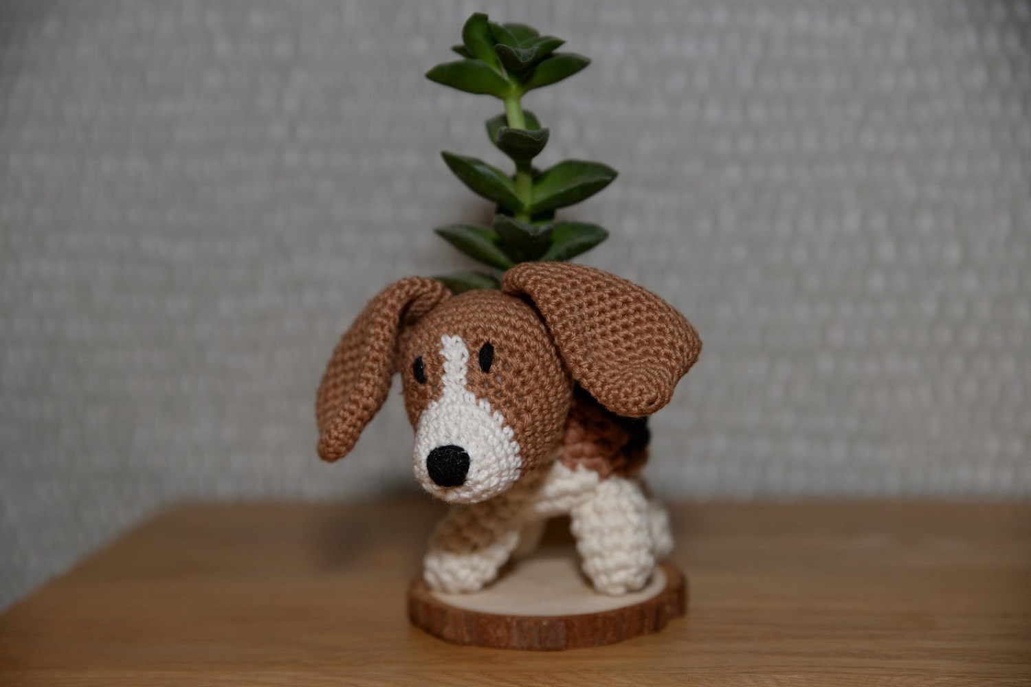 Beagle