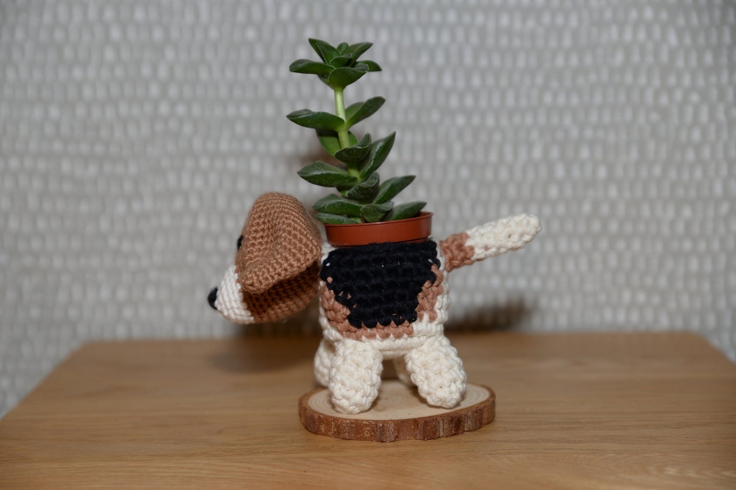 Beagle