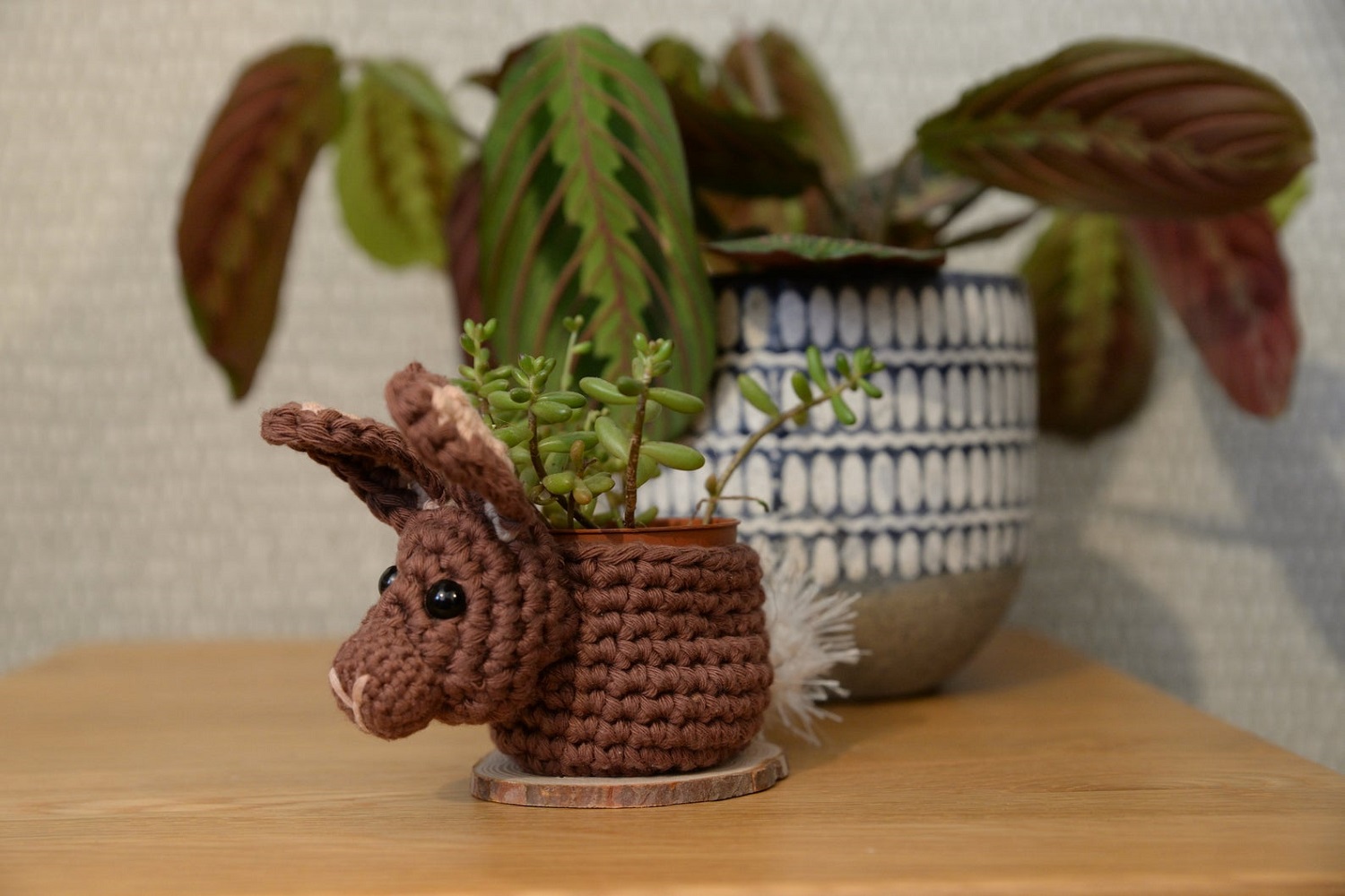 Bunny Rabbit