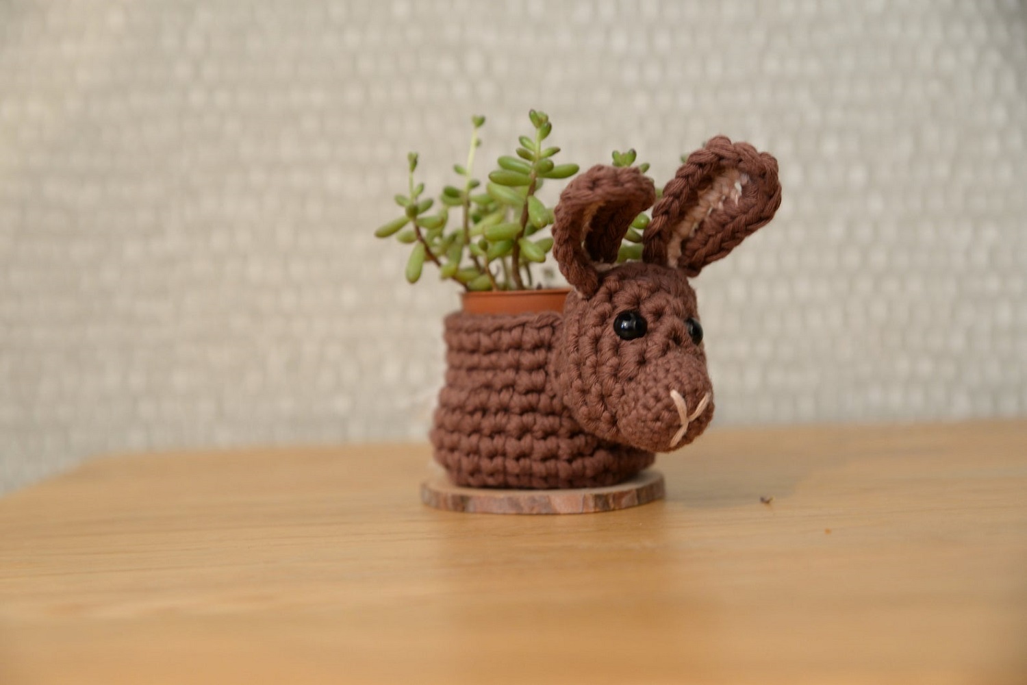 Bunny Rabbit