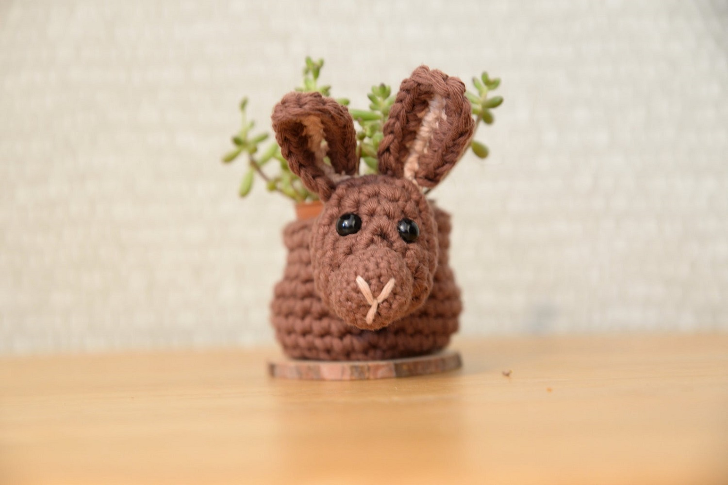 Bunny Rabbit