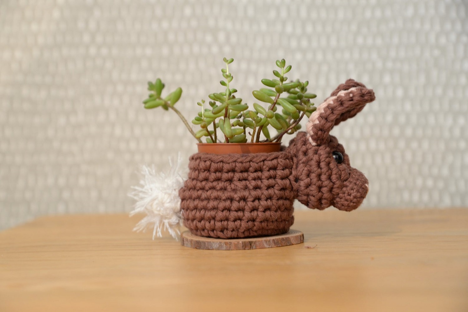 Bunny Rabbit