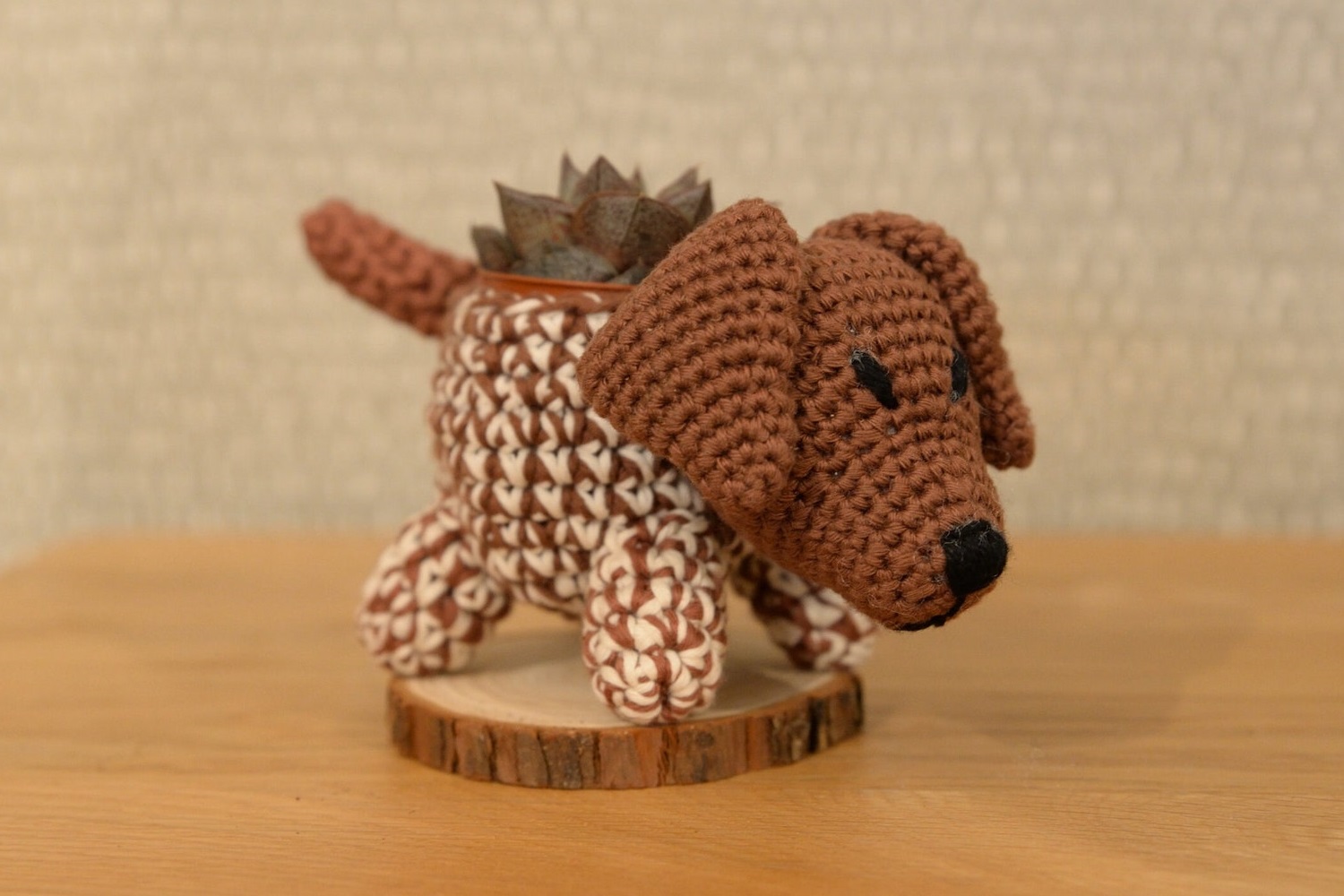 German Shorthaired Pointer