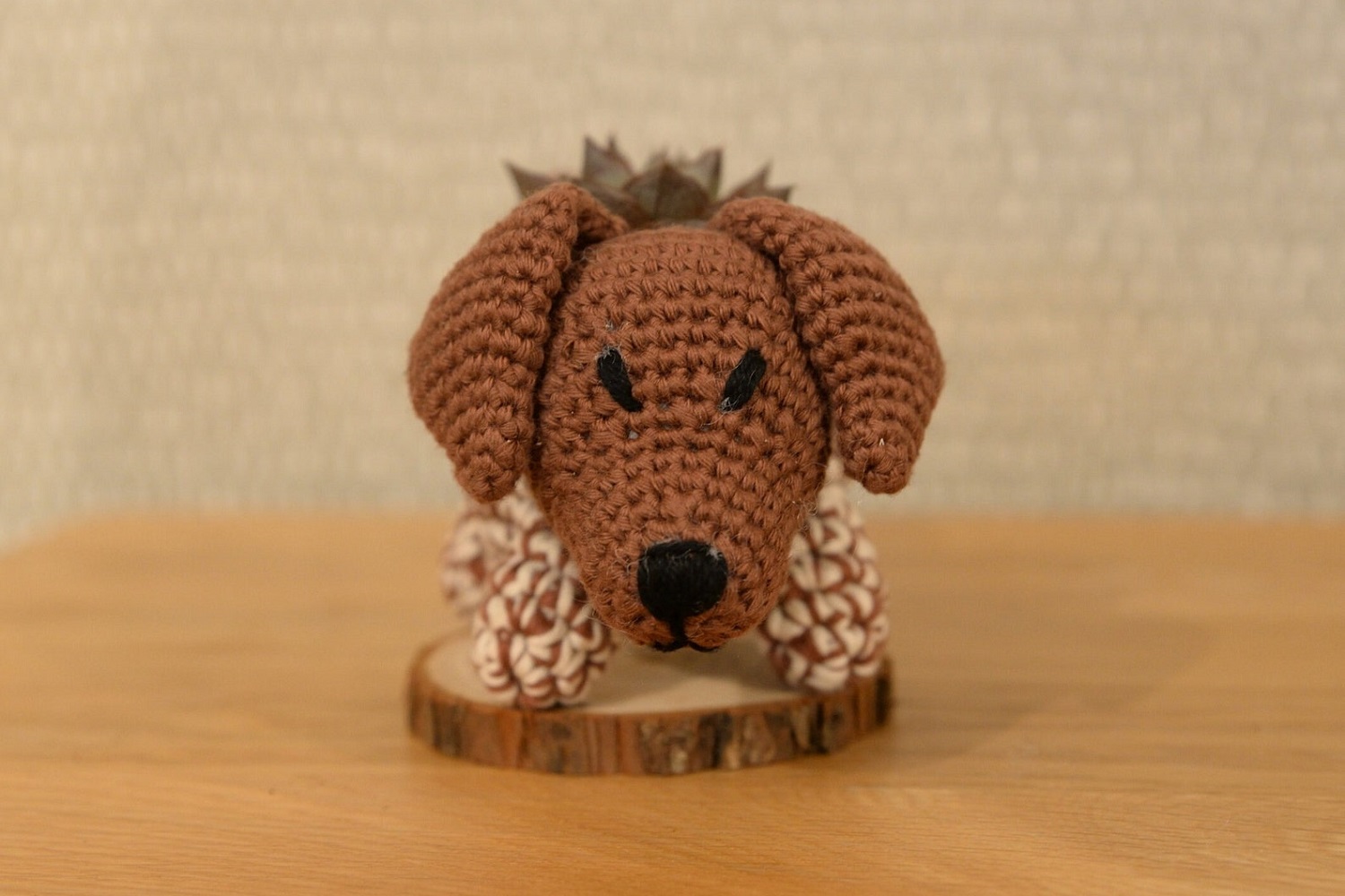 German Shorthaired Pointer