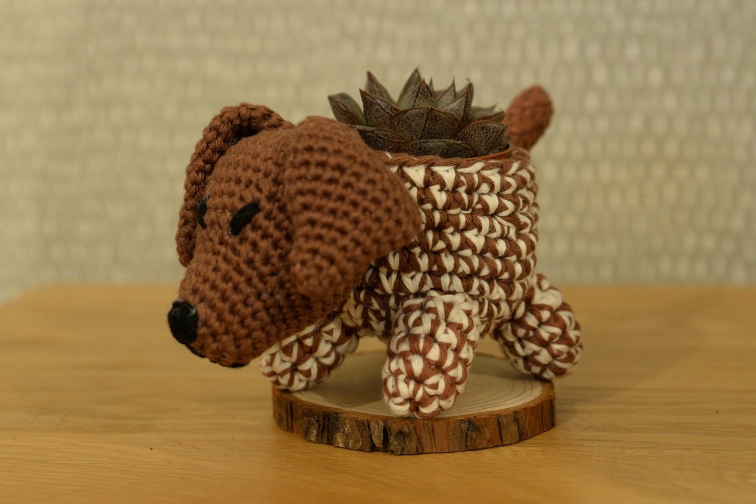 German Shorthaired Pointer