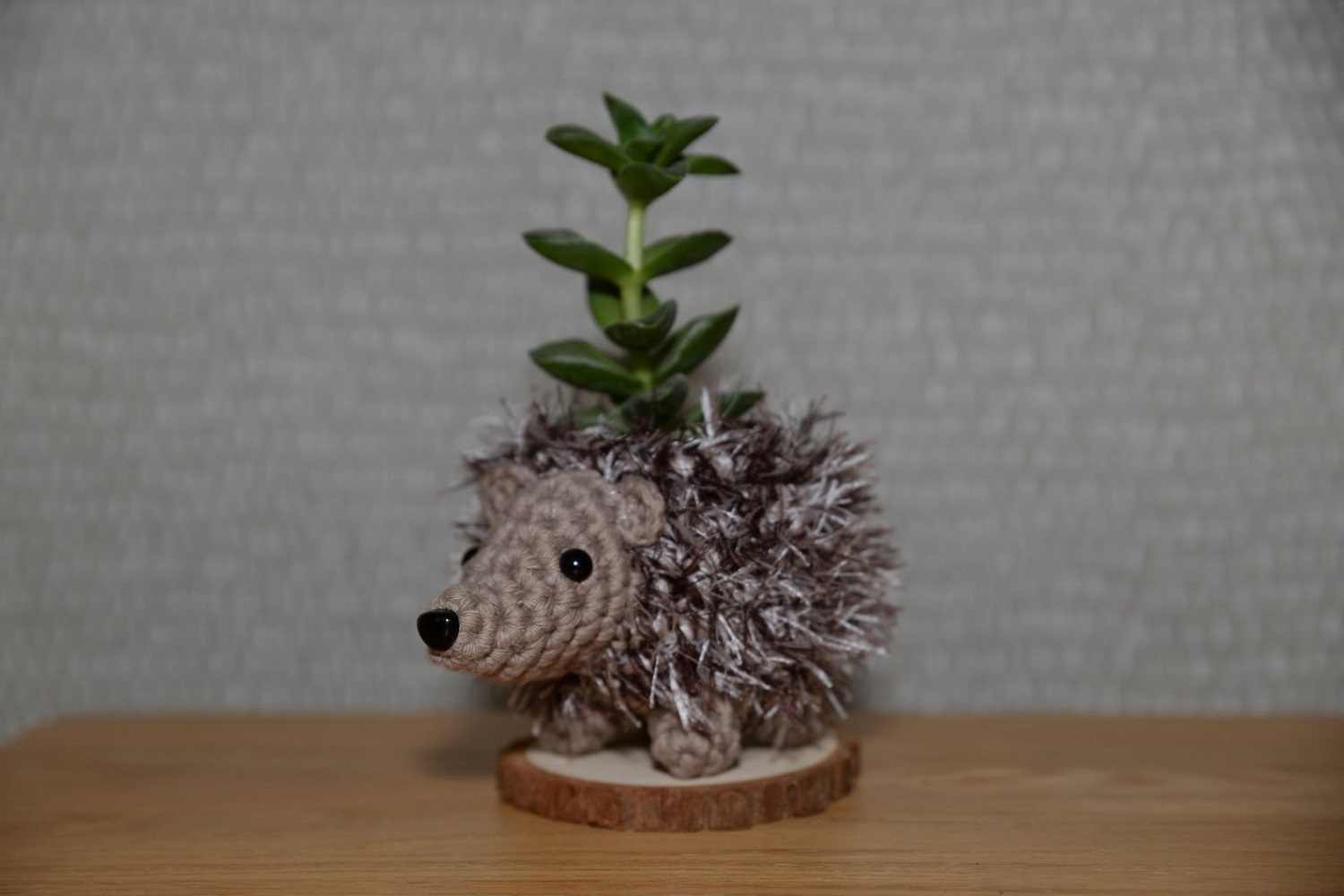 Hedgehog