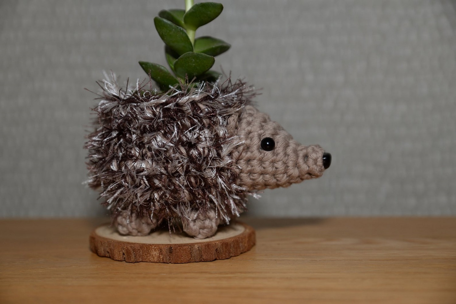 Hedgehog