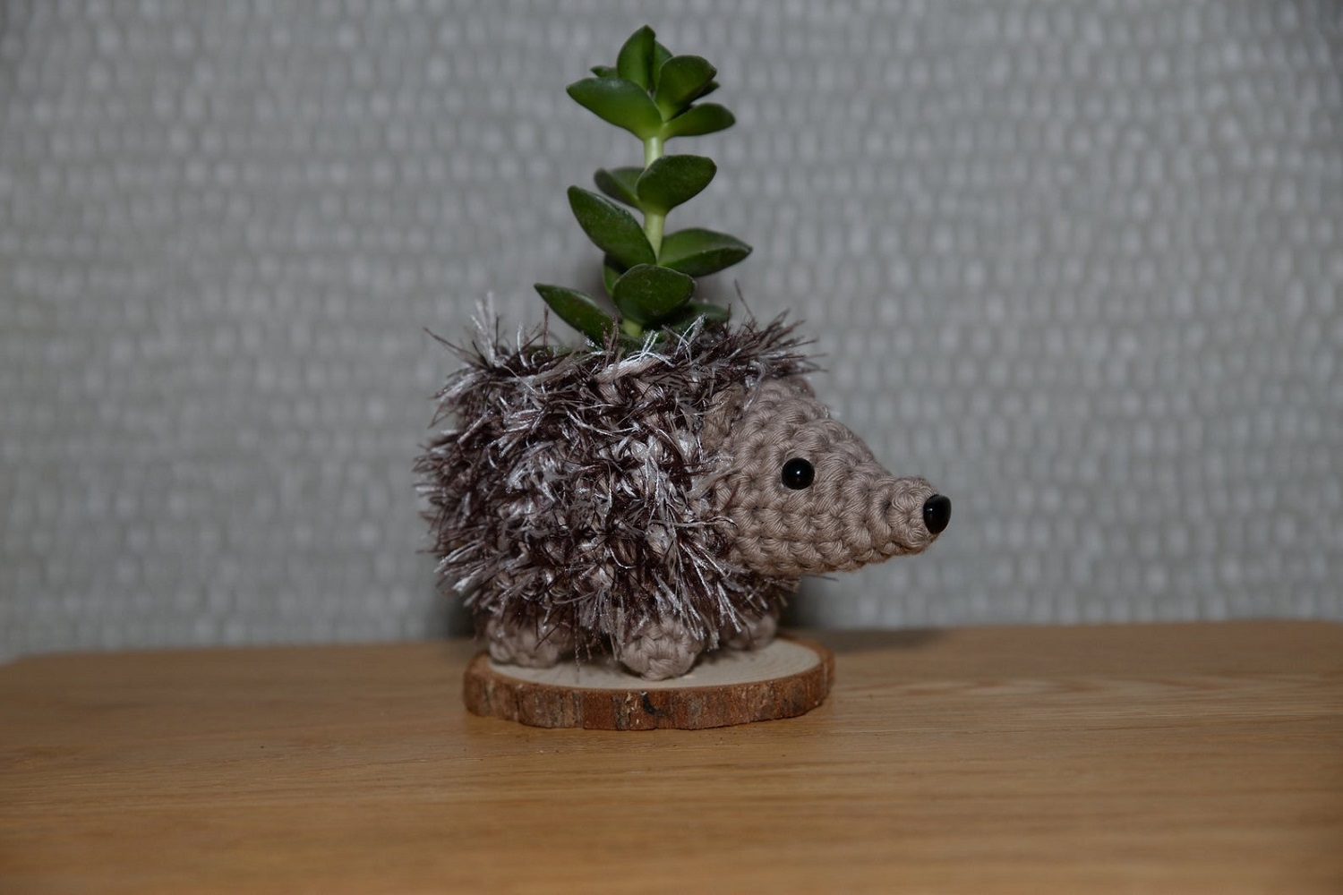 Hedgehog