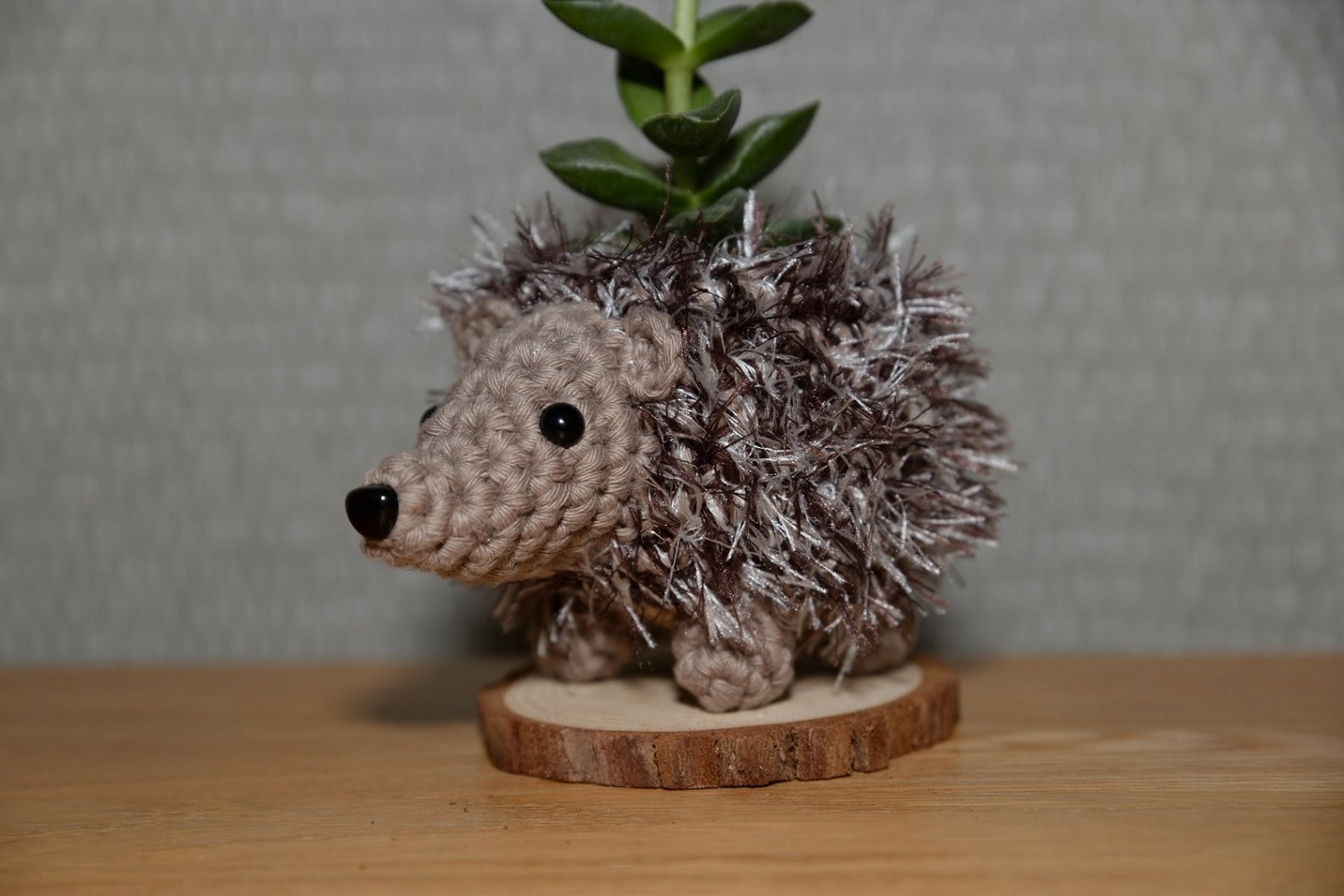 Hedgehog