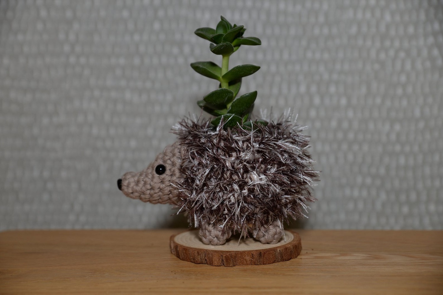Hedgehog