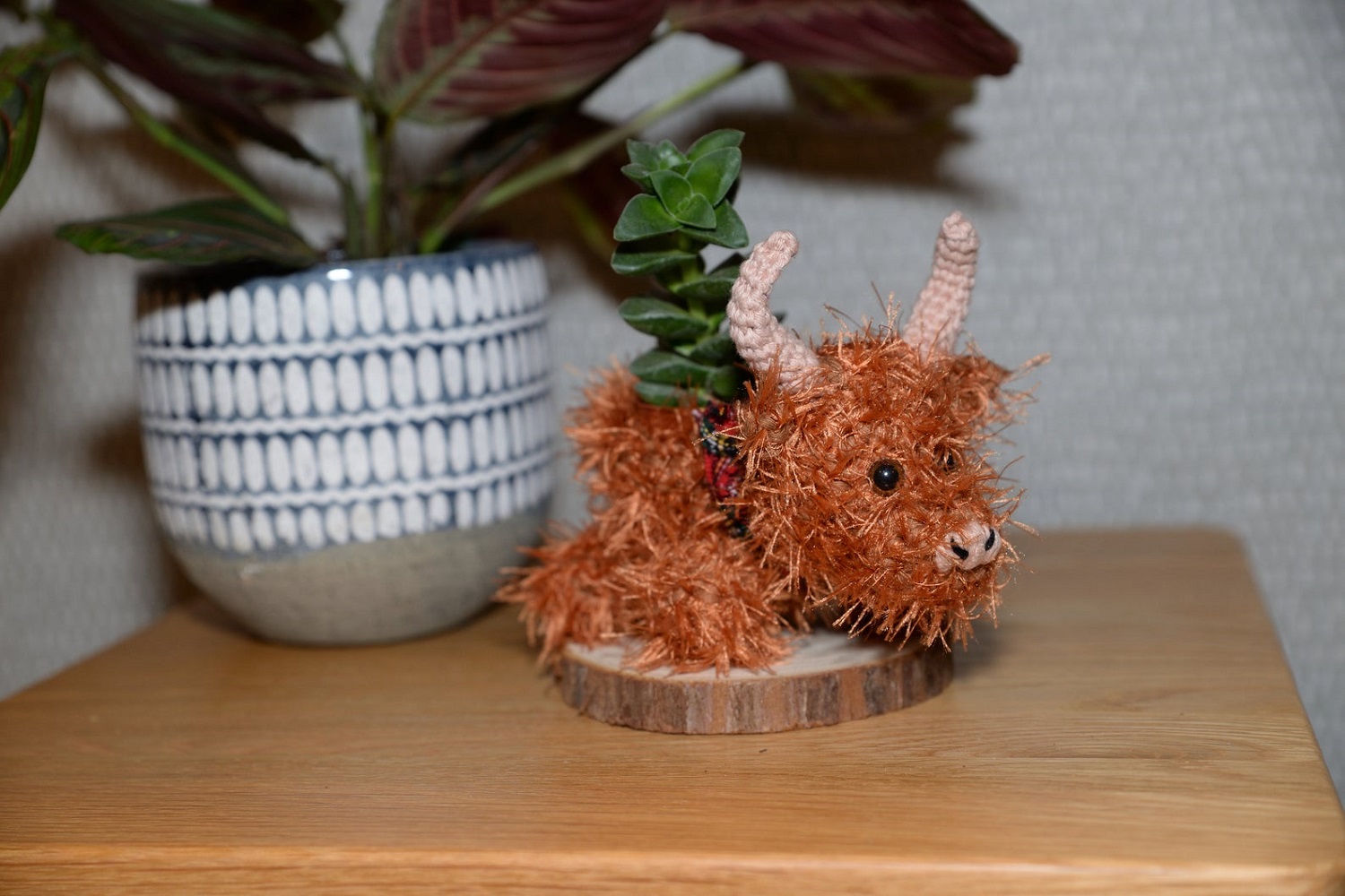 Highland Cow