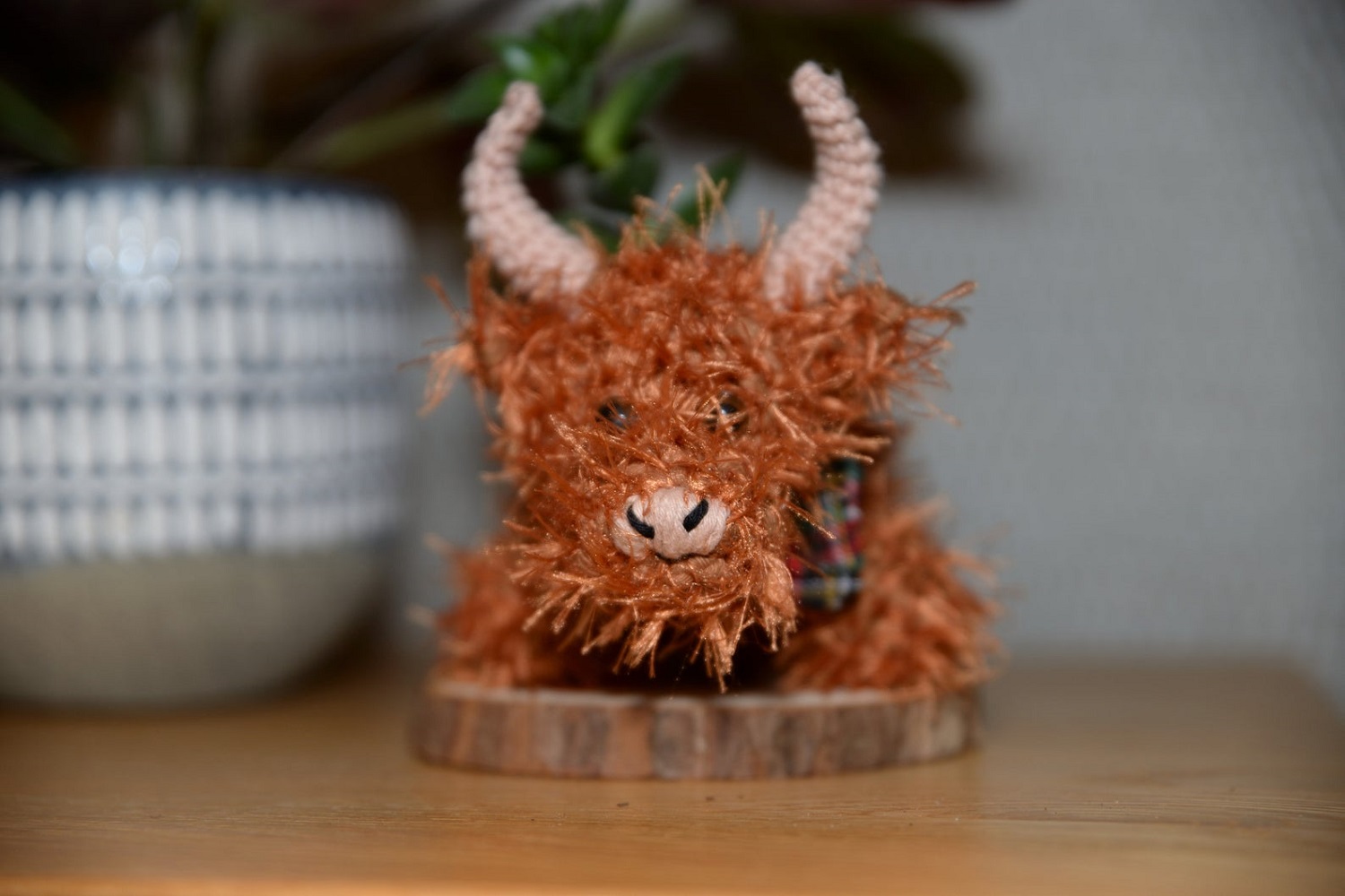 Highland Cow