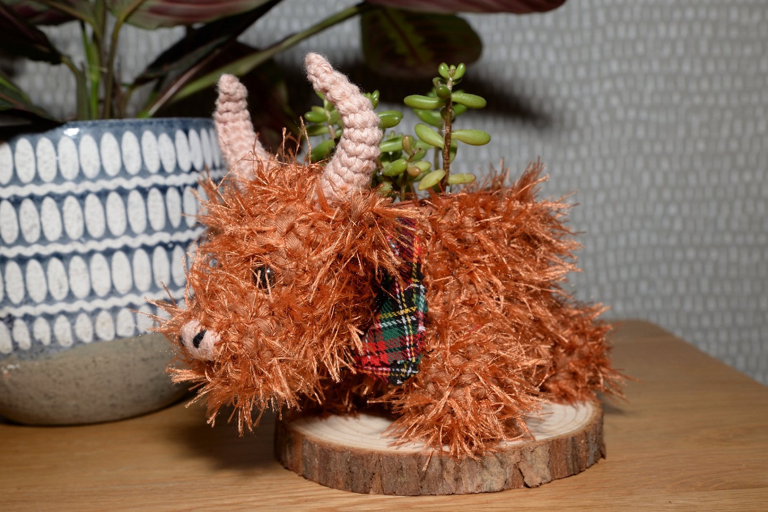 Highland Cow