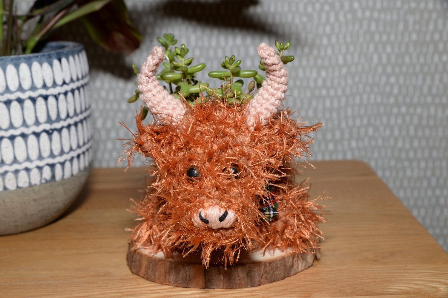 Highland Cow