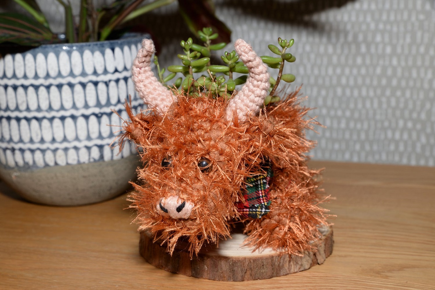 Highland Cow