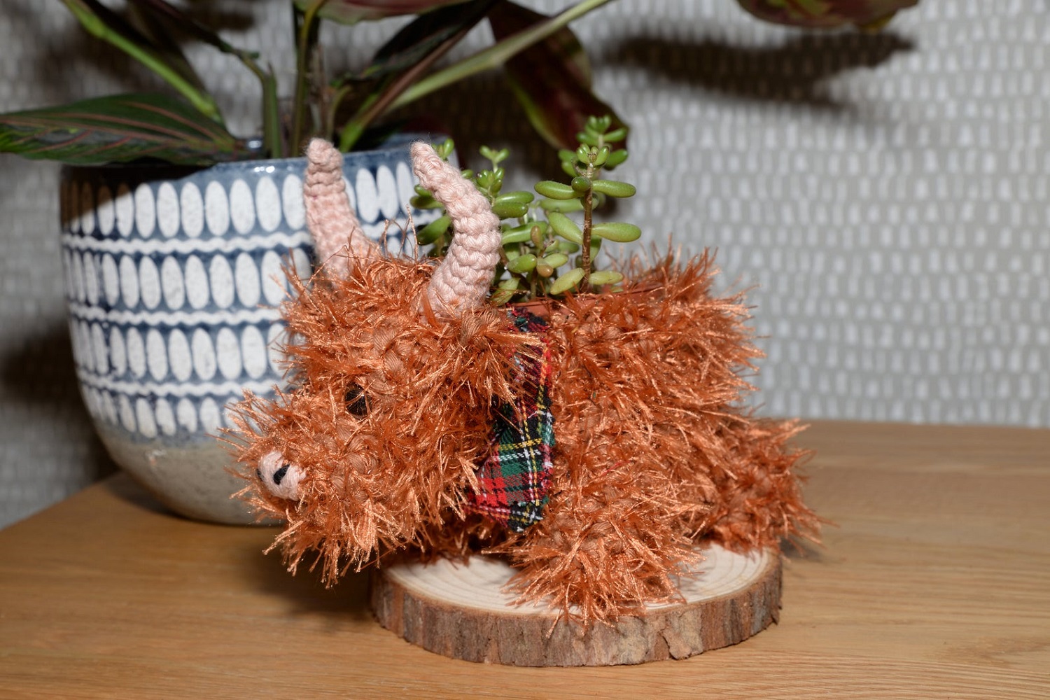 Highland Cow
