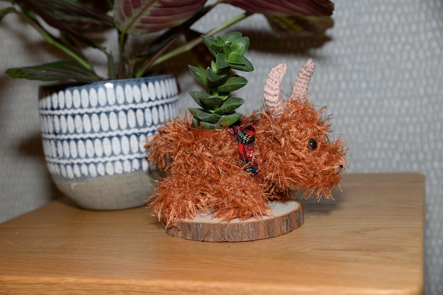 Highland Cow