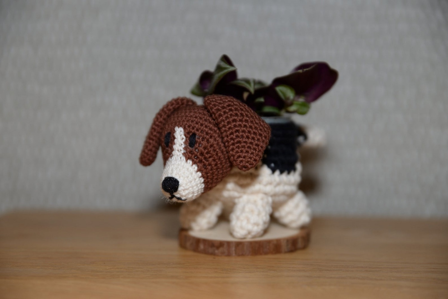 Jack Russell Terrier