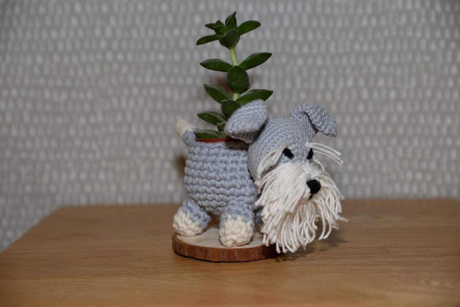 Schnauzer