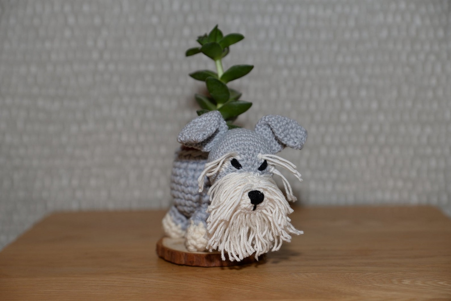 Schnauzer