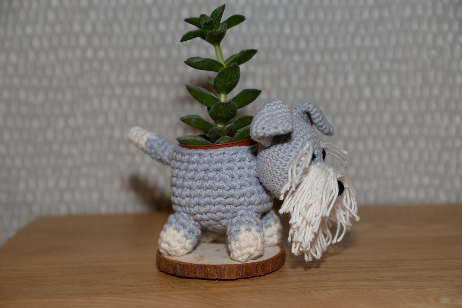 Schnauzer